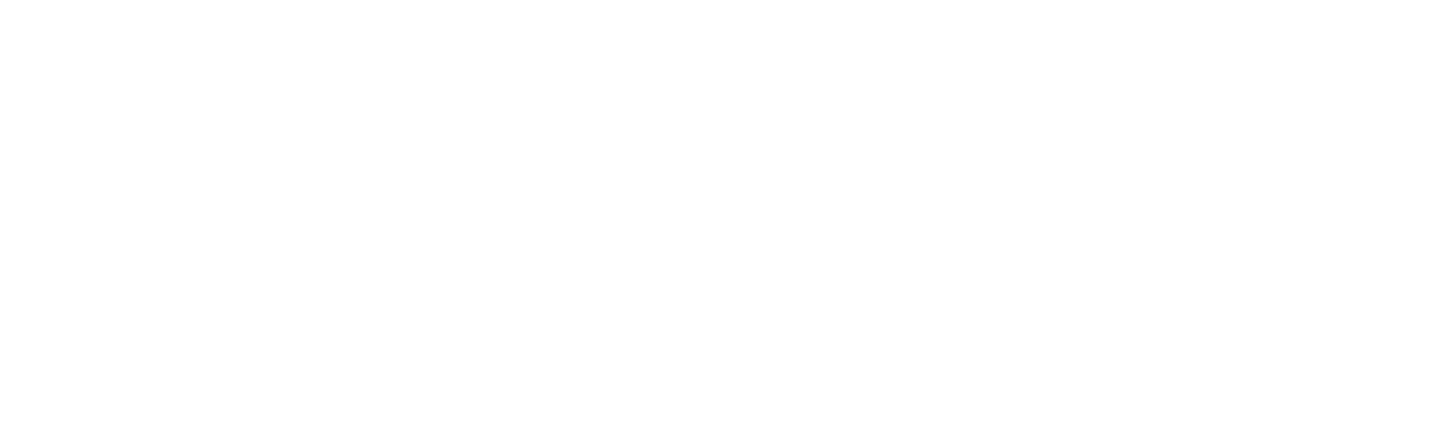 Regency Plaza Logo in White